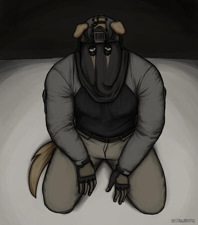 KÖNIG: Activistion&#39;s character